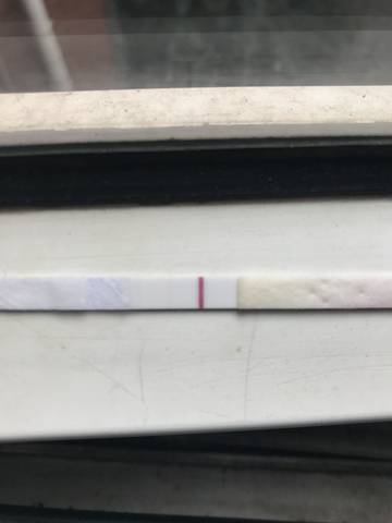 journal_insert_pic_940843264