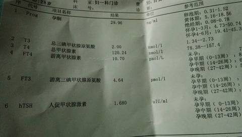 journal_insert_pic_941668277