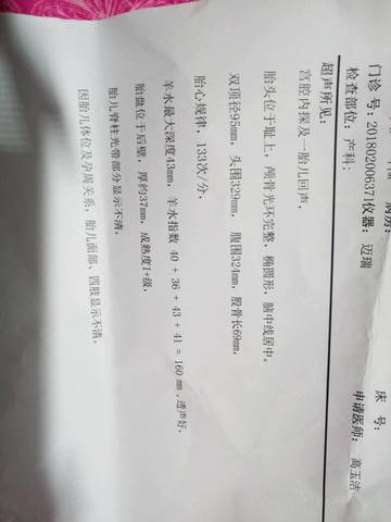 journal_insert_pic_941681660