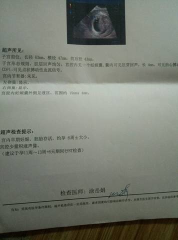journal_insert_pic_941490595