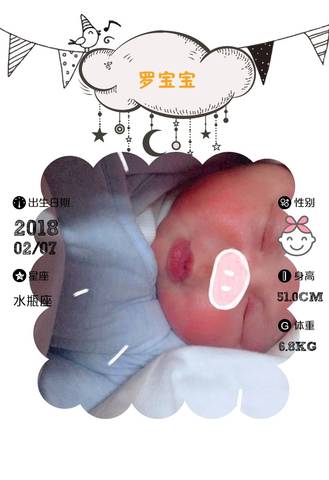 journal_insert_pic_942134044
