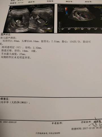 journal_insert_pic_942852943