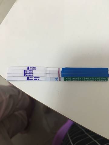 journal_insert_pic_942648858