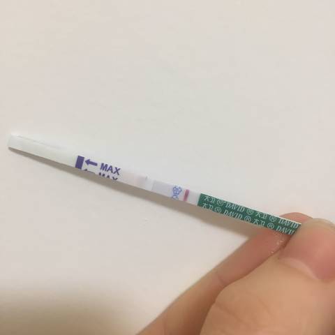 journal_insert_pic_943182264