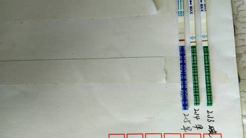 journal_insert_pic_945080216