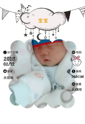 journal_insert_pic_945855628