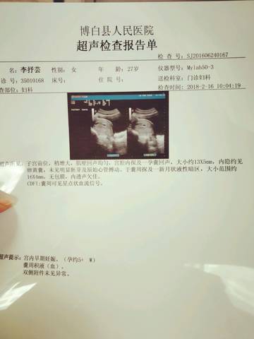 journal_insert_pic_945677715