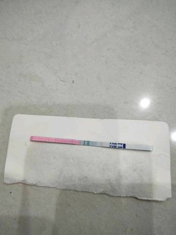 journal_insert_pic_947446428