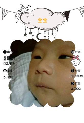 journal_insert_pic_947893499