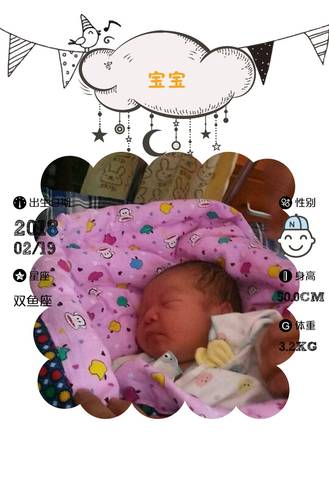 journal_insert_pic_948311584