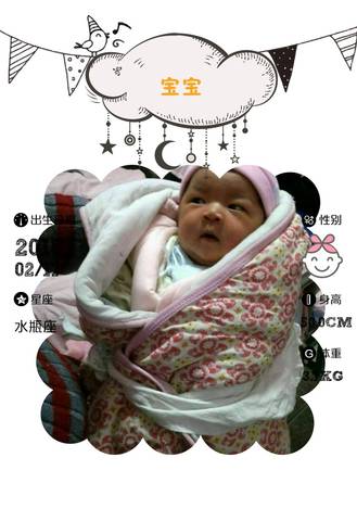 journal_insert_pic_949552833