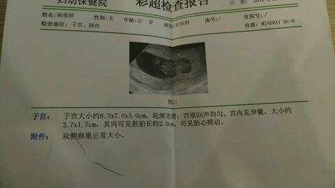 journal_insert_pic_950539627