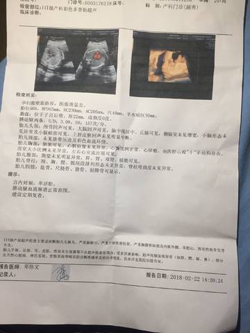 journal_insert_pic_950691734