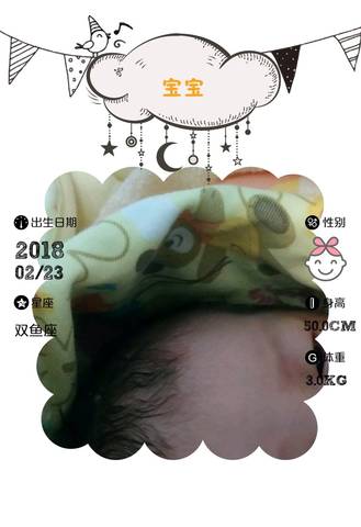 journal_insert_pic_952035455