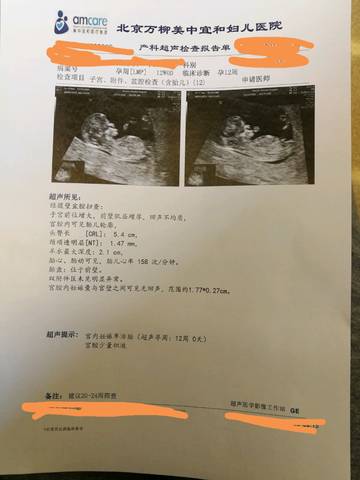 journal_insert_pic_952307788