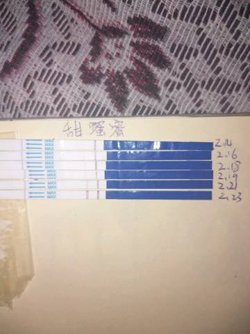 journal_insert_pic_952509171