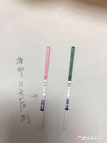 journal_insert_pic_952721116
