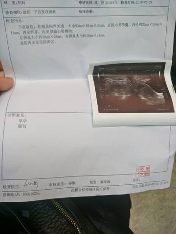 journal_insert_pic_952331700