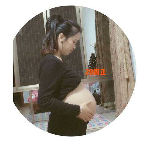 journal_insert_pic_952731849