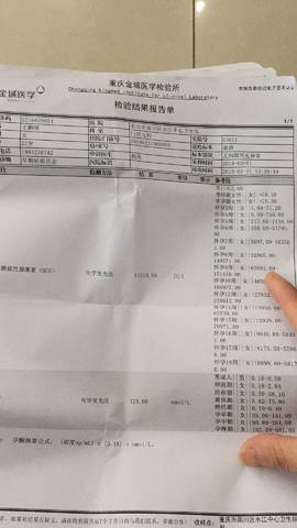 journal_insert_pic_952177156