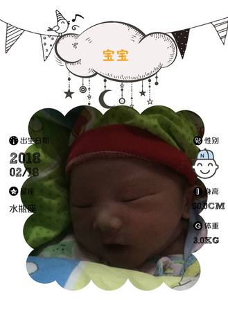 journal_insert_pic_952555965
