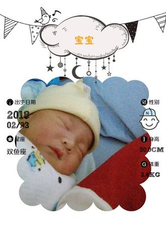 journal_insert_pic_952943595