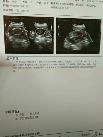 journal_insert_pic_953973091