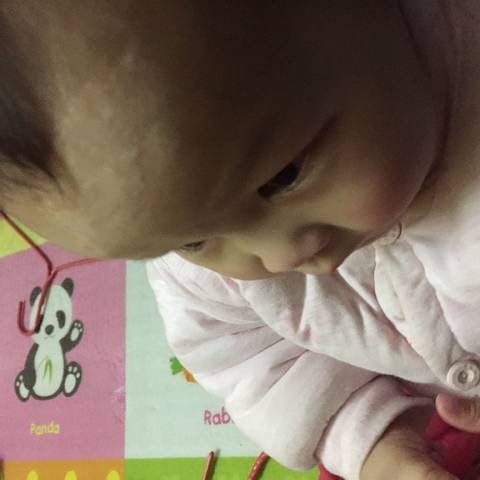 journal_insert_pic_955213722