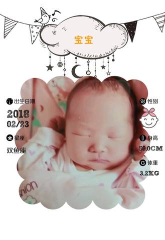 journal_insert_pic_954692154