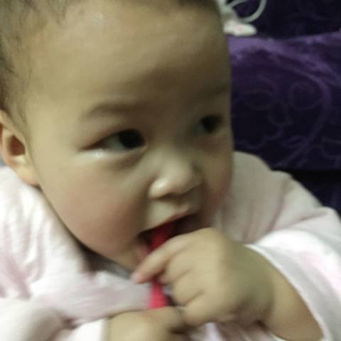 journal_insert_pic_955213609