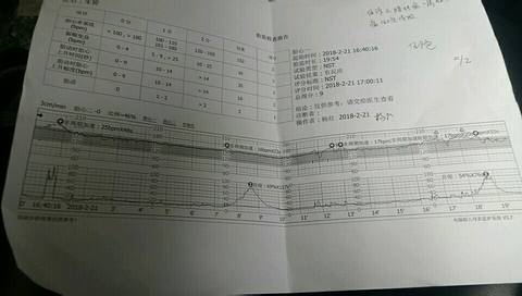 journal_insert_pic_954717983