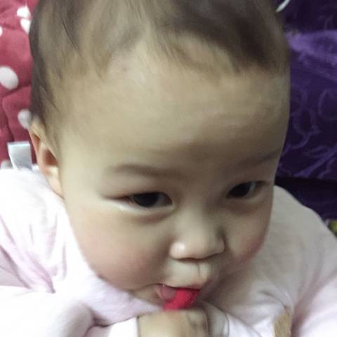 journal_insert_pic_955213759