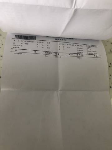 journal_insert_pic_955607481
