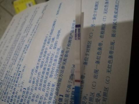 journal_insert_pic_955497975