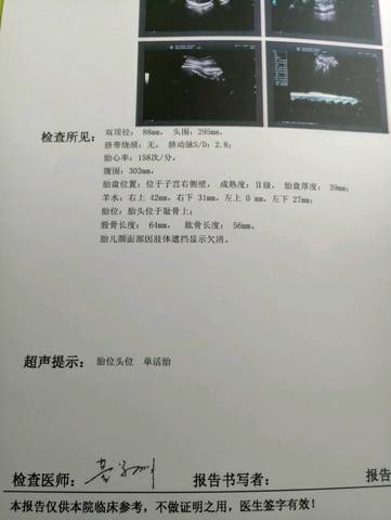 journal_insert_pic_955536817