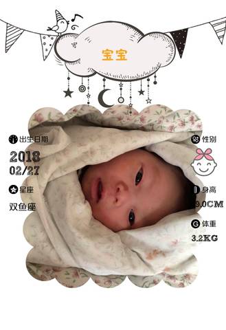 journal_insert_pic_955548798