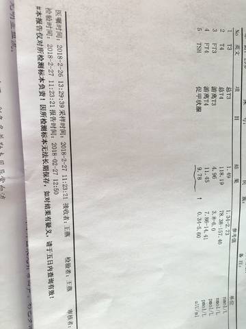 journal_insert_pic_955680335