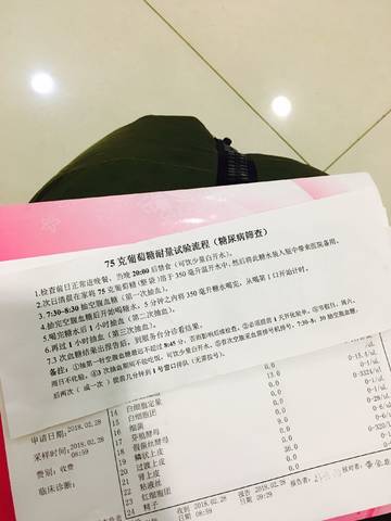 journal_insert_pic_956421440