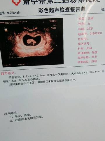 journal_insert_pic_956585521