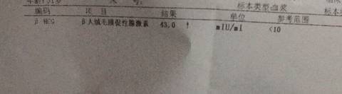 journal_insert_pic_956454338