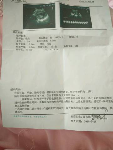 journal_insert_pic_956556062