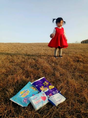 journal_insert_pic_956371698
