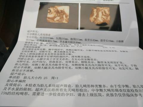 journal_insert_pic_956958920