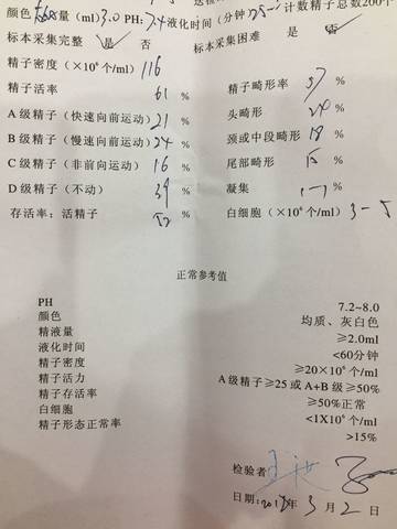 journal_insert_pic_957515478