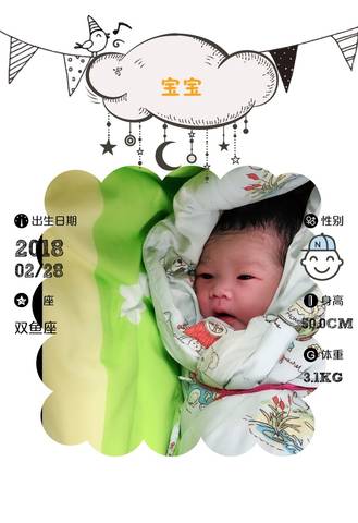 journal_insert_pic_957314507