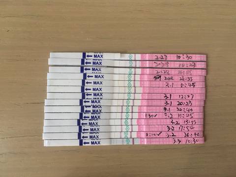 journal_insert_pic_957974536