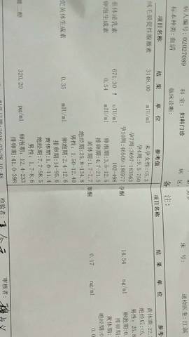 journal_insert_pic_958030378