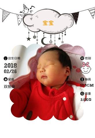 journal_insert_pic_959431134