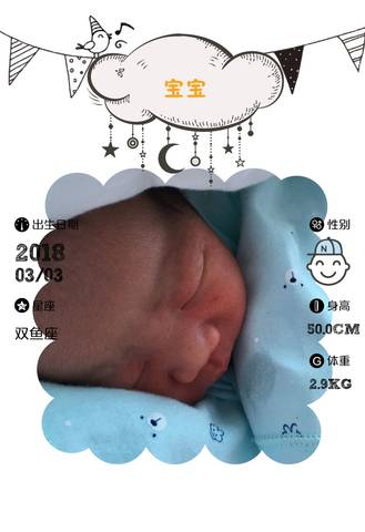 journal_insert_pic_959530861