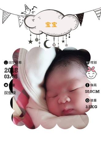 journal_insert_pic_960258319